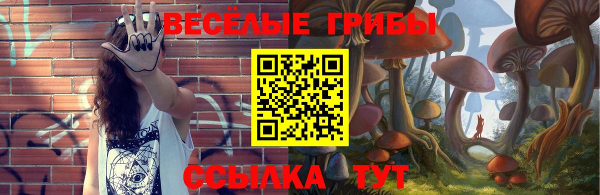 Магадан  Галлюциногенные грибы Cubensis  Галлюциногенные грибы мухоморы  Вход с VPN 