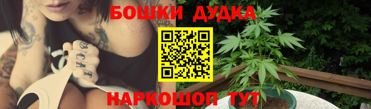 Бошки марихуана Bruce Banner  Вход с VPN  Шишки марихуана индика  Магадан 